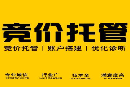 谷歌竞价广告与社交媒体结合的营销案例探讨